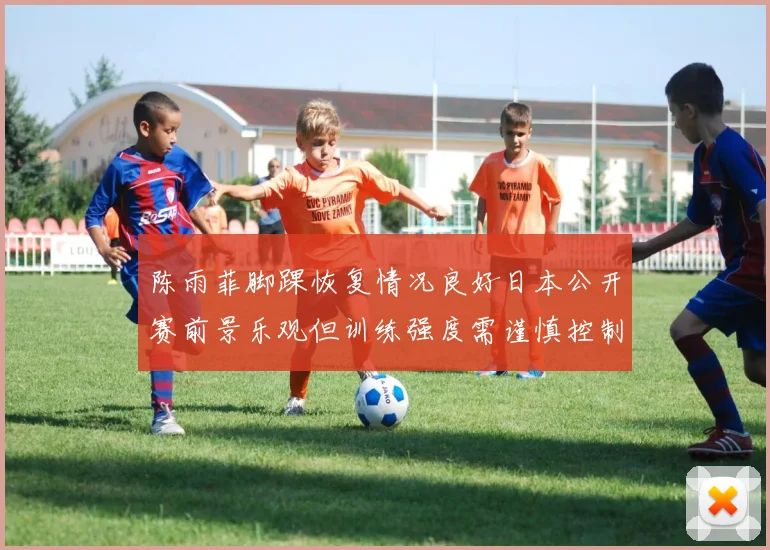 陈雨菲脚踝恢复情况良好日本公开赛前景乐观但训练强度需谨慎控制