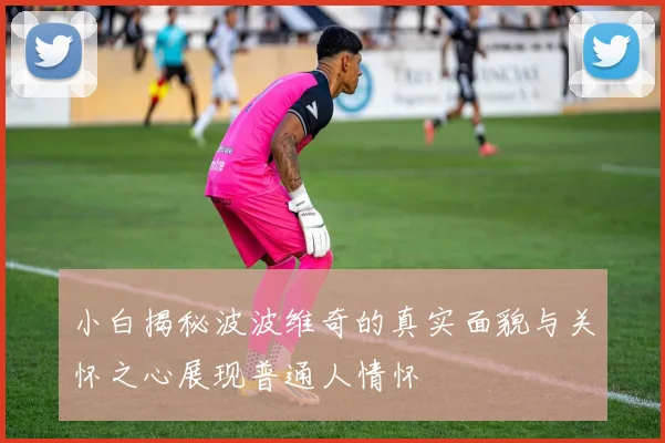 小白揭秘波波维奇的真实面貌与关怀之心展现普通人情怀