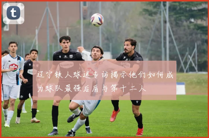 辽宁铁人球迷专访揭示他们如何成为球队最强后盾与第十二人